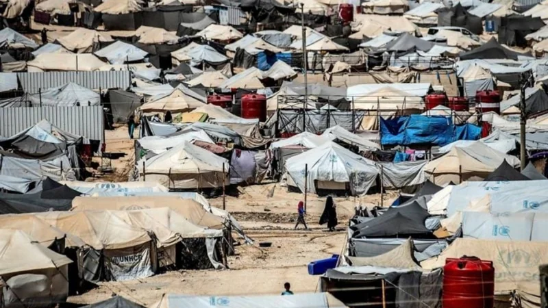 United States announce that two dozen Western citizens brought back from Syria camp