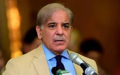 PM Shehbaz directs establishment of Pakistan Skill  Company