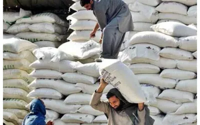 Flour prices drop in Punjab; check here
