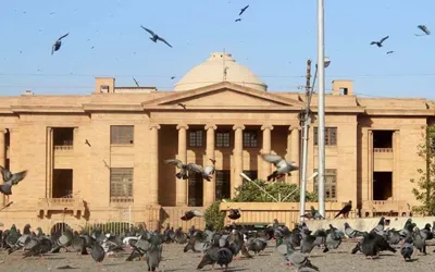 SHC seeks reply from PTA over poor mobile, internet service in courts