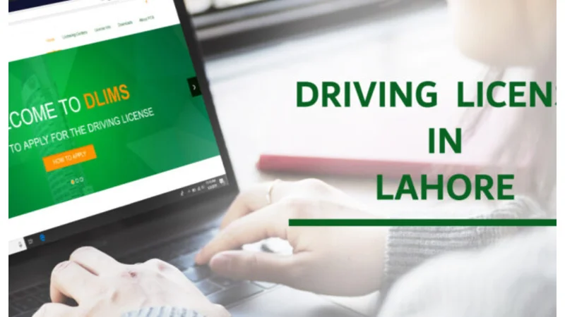 Punjab Driving License Online Verification 2024: ﻿Details Inside!