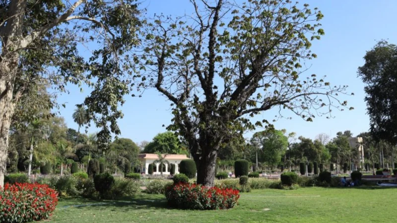 Islamabad Heatwave: Rains likely to give some relief this week