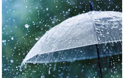 Monsoon Season in Pakistan 2024 to Provide Relief from Heatwave!