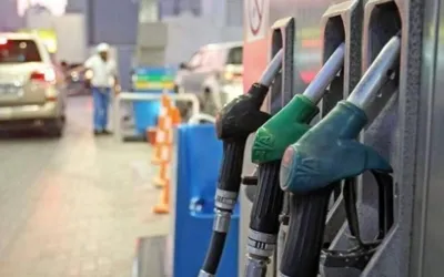 Expected UAE petrol prices - June 2024