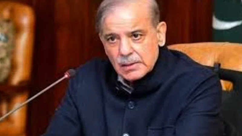 PM Shehbaz urges auto industry to start local manufacturing