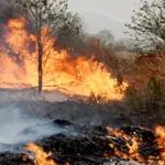 PAF, Navy supporting civic agencies to extinguish fire at Margalla Hills