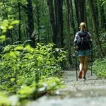 How 20 minutes of nature can boost your health