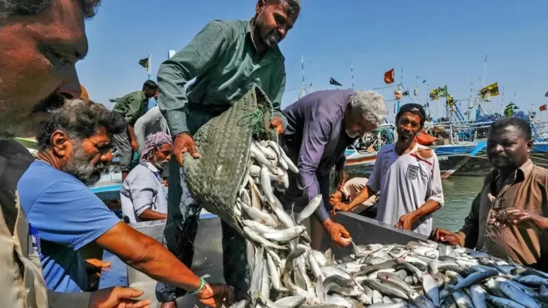 Pakistan’s seafood exports