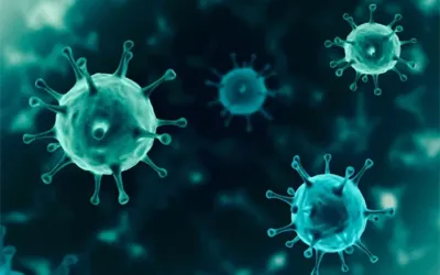 New nanomaterial could revolutionize cancer therapy, study finds