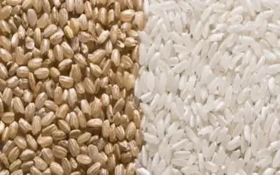 Brown or white rice: Here's which is healthier for you