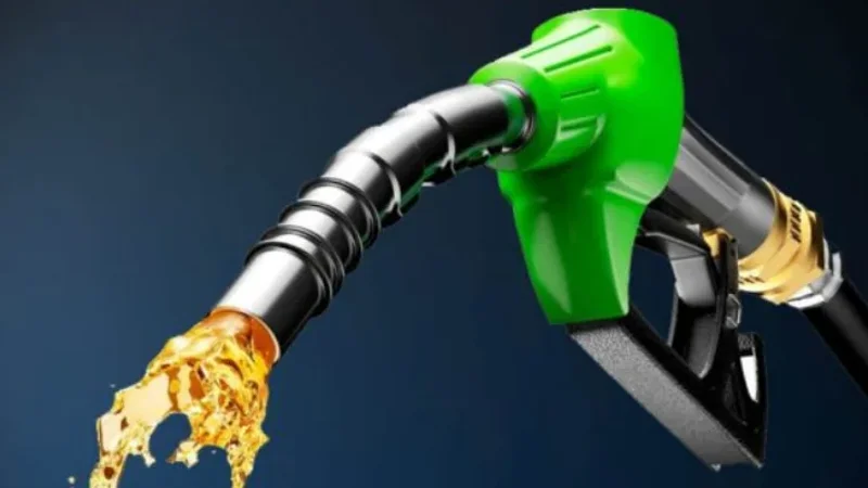 Govt increases petrol, diesel prices for next fortnight