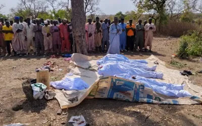 Armed attack in Nigerian village leaves 50 dead