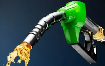Petrol prices increased by Rs8 per litre for next fortnight
