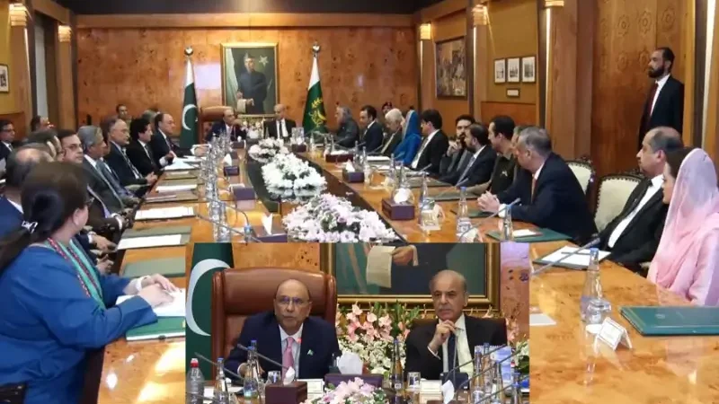 President Zardari chairs high-level meeting on economy, energy and regional situation