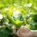 Eco-Friendly Living: Small Steps, Big Difference