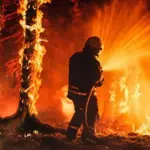 Japan wildfires: Hundreds of firefighters in action