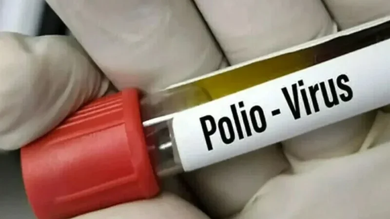 Two new polio