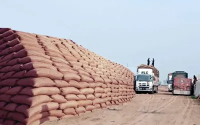 PASSCO winding-up raises concerns over Pakistan’s wheat reserves
