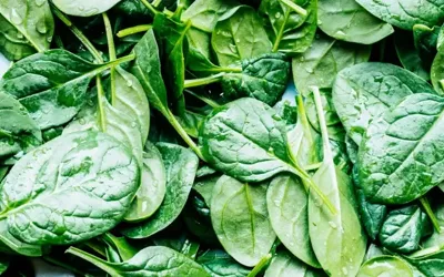 Five Health Benefits of Eating Spinach