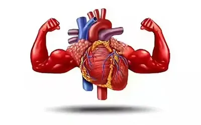 Your Heart, Your Choice: How diet, exercise, and habits can shield against stroke