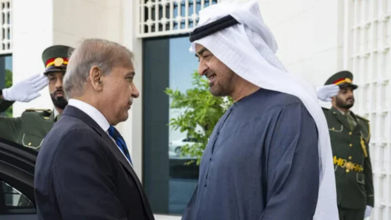 Visit