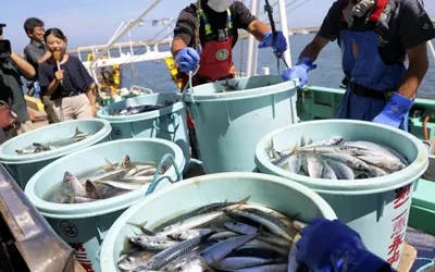 China reimposes ban on Japanese seafood imports amid diplomatic tensions over Taiwan remarks