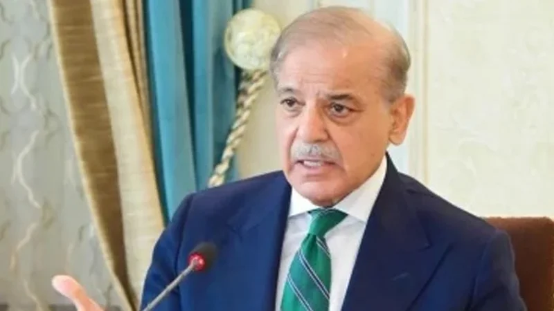 PM reconstitutes