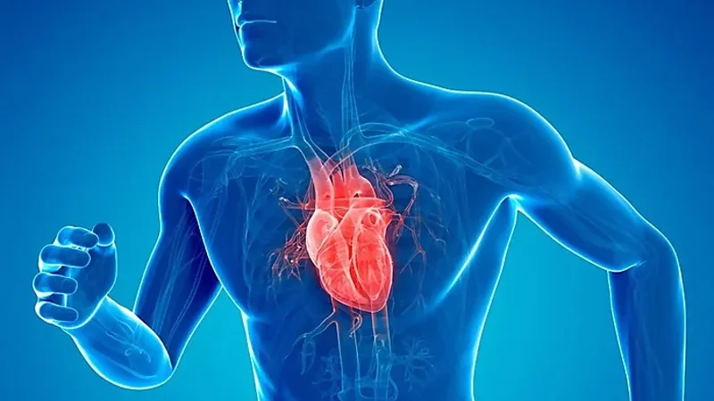 Experts reveal superfoods for healthy heart