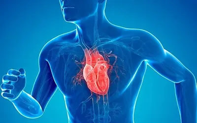 Experts reveal superfoods for healthy heart