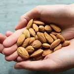 Almonds can reduce bad cholesterol