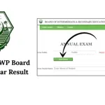 BISE Bahawalpur to announce 12th class results 2025, here’s how to check!
