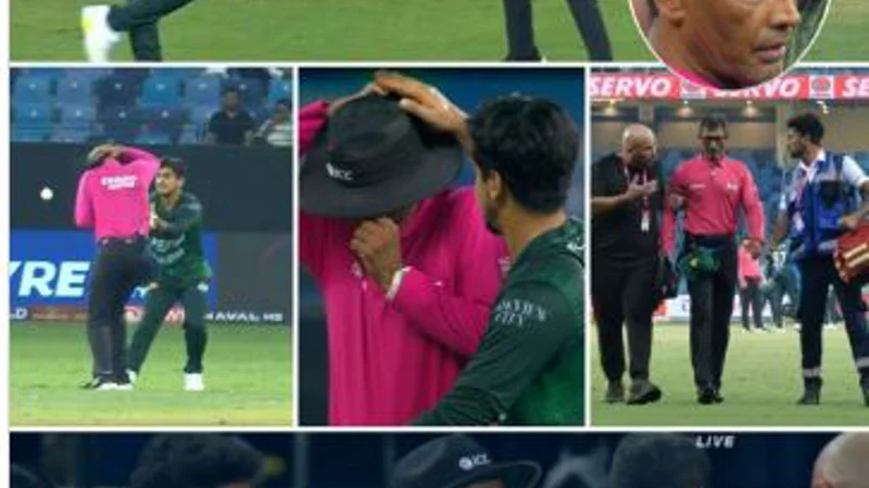 Umpire injured during Pakistan–UAE match
