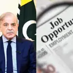 Pakistan introduces employment policy to expand opportunities for Young workers