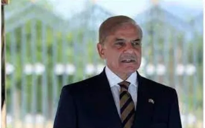 PM calls for reversing Indian unilateral actions in IIOJK