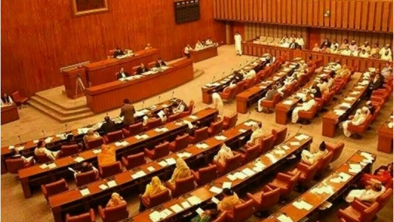 National Assembly passes bill allowing forces to detain anyone for three months